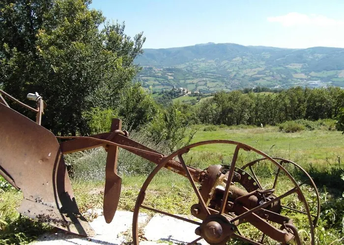 La Busca Country House Monte Benedetto